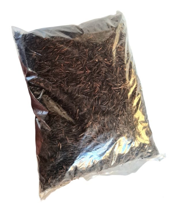 Casca de Arroz Carbonizada
